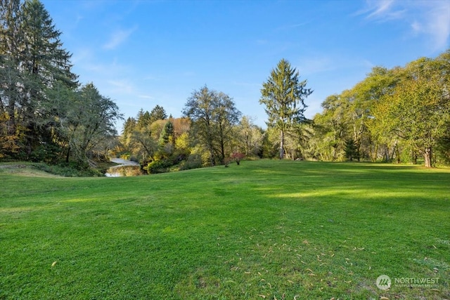 view of yard featuring a water view