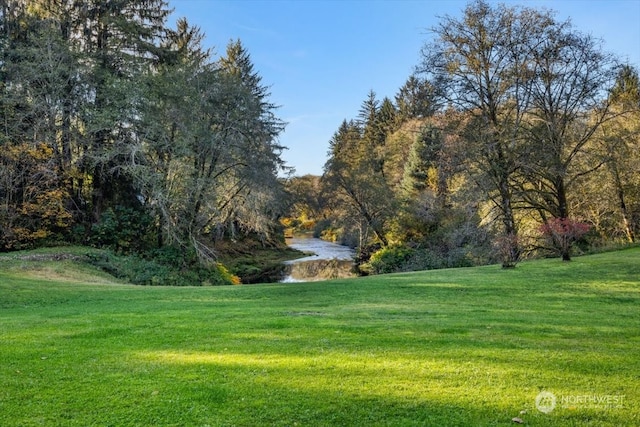 view of yard featuring a water view