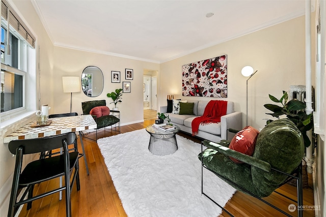 living room with crown molding and wood-type flooring