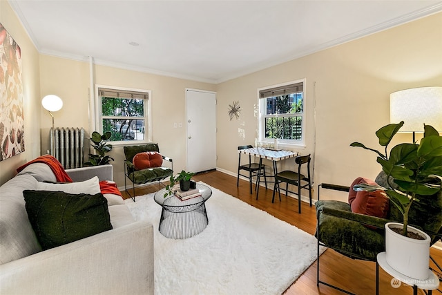 living room featuring dark wood-type flooring, crown molding, and radiator