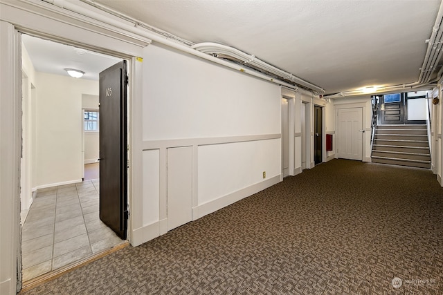 basement with light carpet