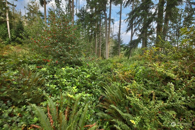 0LOTD Saratoga Rd, Langley, WA 98260