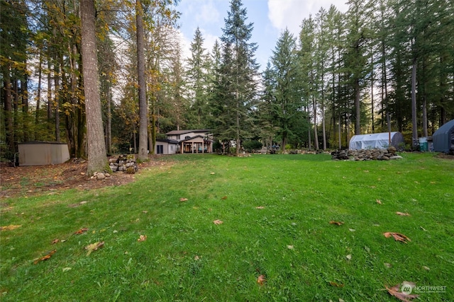 view of yard featuring a shed