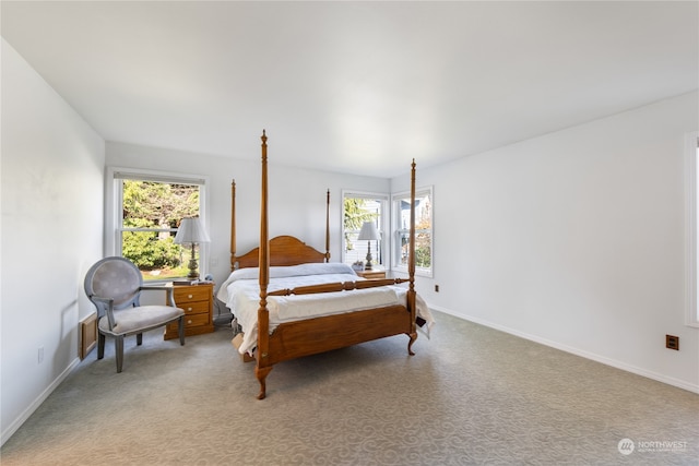 carpeted bedroom with multiple windows