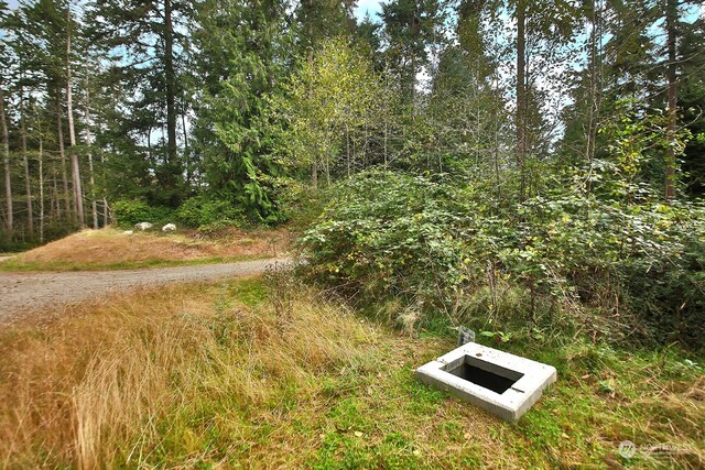 0LOTE Saratoga Rd, Langley, WA 98260 - photo 5