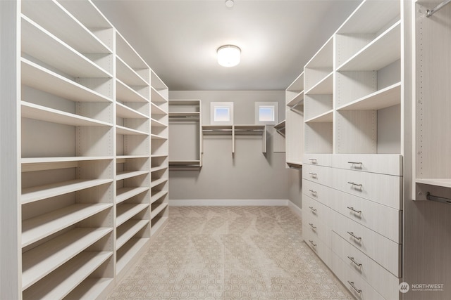 spacious closet with light carpet