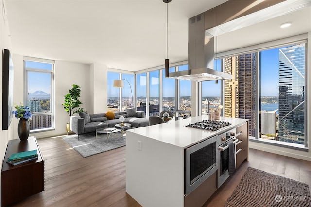 kitchen featuring hanging light fixtures, appliances with stainless steel finishes, island range hood, dark wood-type flooring, and a center island