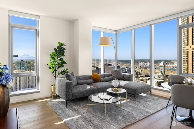 living room with expansive windows, a wealth of natural light, and hardwood / wood-style floors