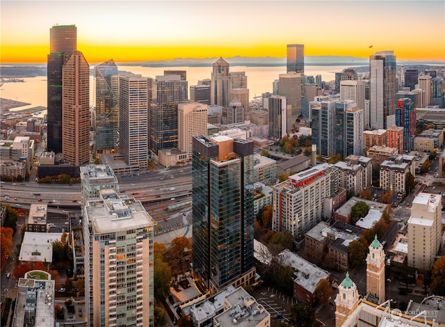 property's view of city featuring a water view