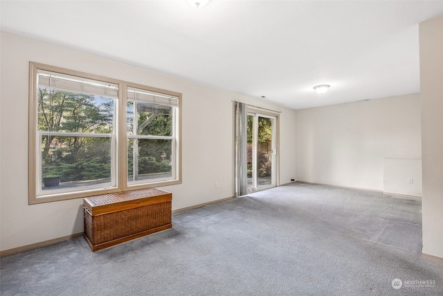 empty room with a healthy amount of sunlight and carpet floors