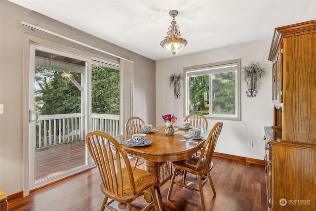 dining room with dark hardwood / wood-style floors and a wealth of natural light