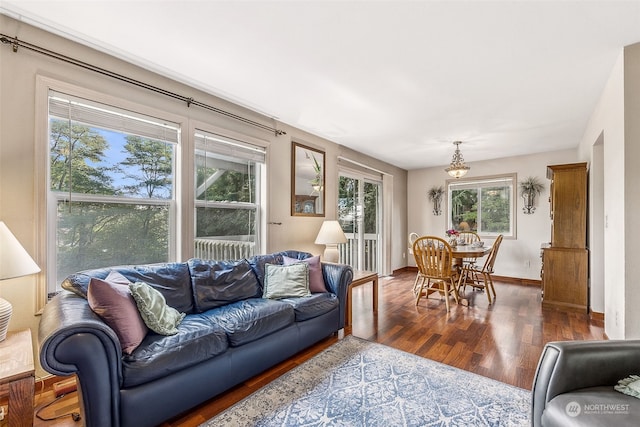 living room featuring a healthy amount of sunlight and dark hardwood / wood-style flooring