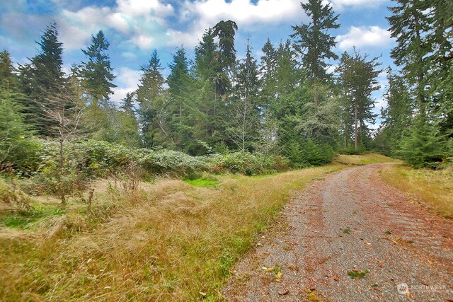 0LOTG Saratoga Rd, Langley, WA 98260 - photo 4