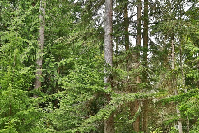 0LOTG Saratoga Rd, Langley, WA 98260 - photo 5