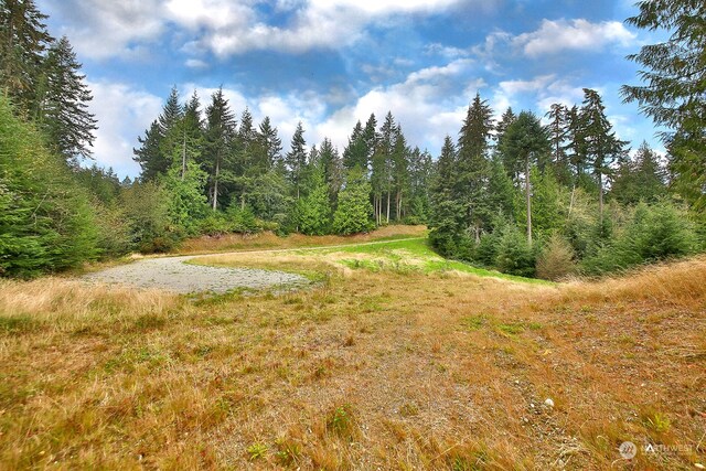 0LOTG Saratoga Rd, Langley, WA 98260 - photo 10