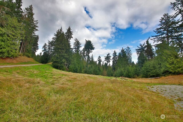 0LOTG Saratoga Rd, Langley, WA 98260 - photo 11