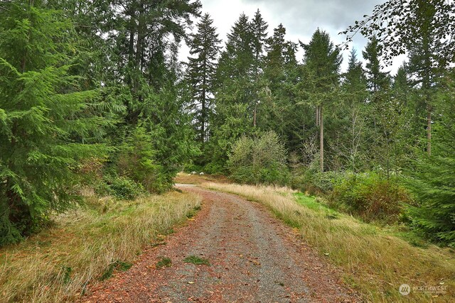 0LOTG Saratoga Rd, Langley, WA 98260 - photo 12