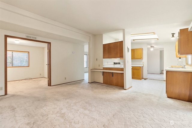 kitchen featuring sink and light carpet