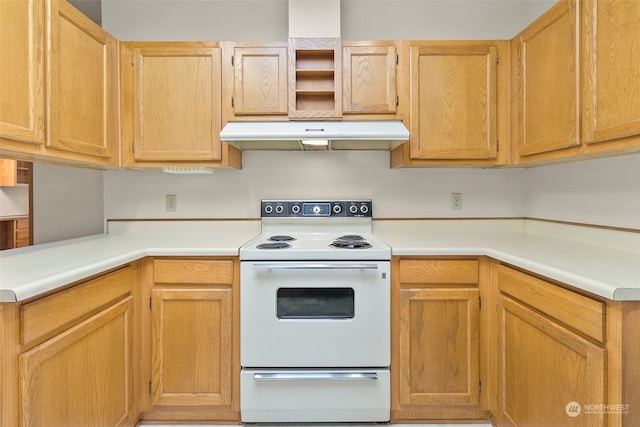 kitchen featuring electric stove and light brown cabinetry