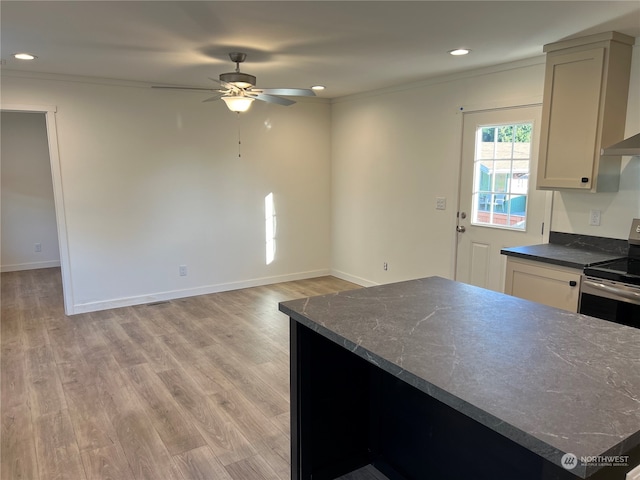 kitchen with crown molding, stainless steel range with electric stovetop, light hardwood / wood-style floors, and ceiling fan