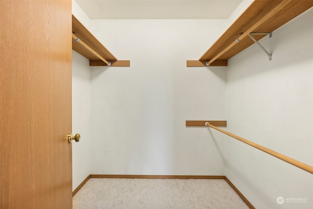 walk in closet featuring light colored carpet