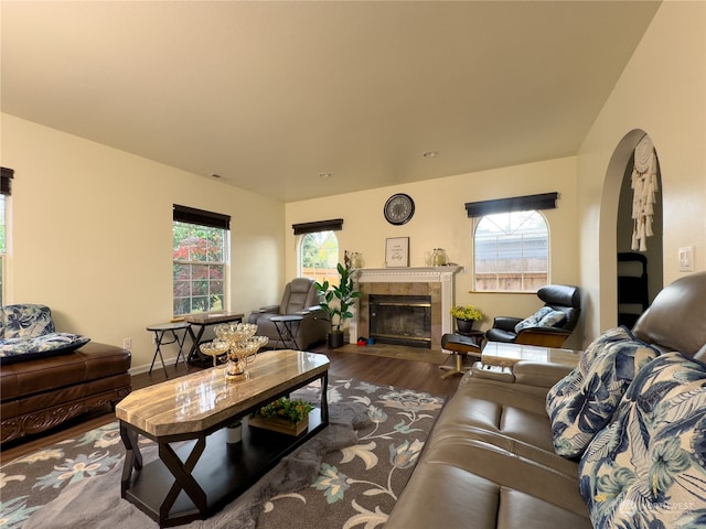 living room with a fireplace and hardwood / wood-style floors