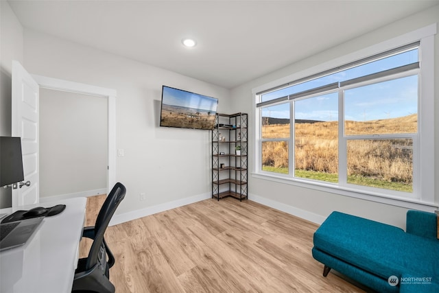 office featuring light hardwood / wood-style flooring