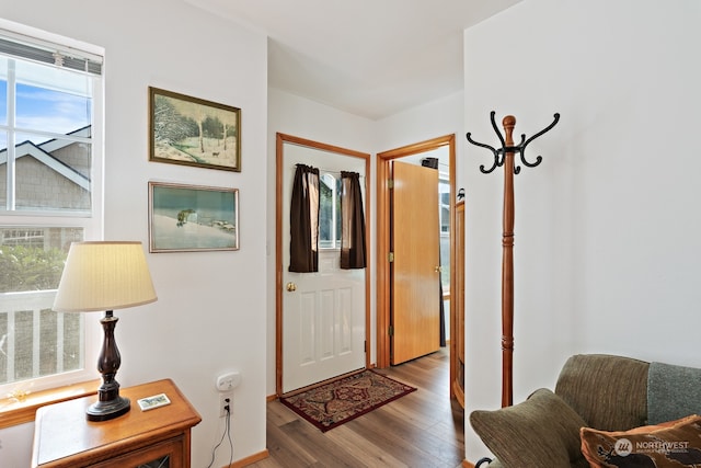 entrance foyer with wood-type flooring and plenty of natural light