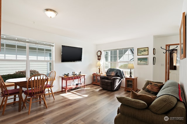 living room featuring light hardwood / wood-style flooring