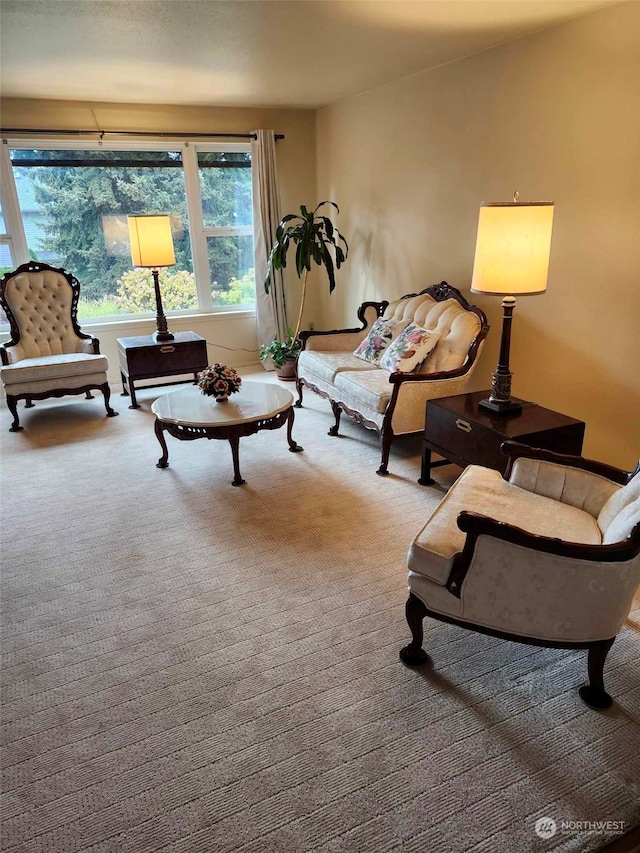 living room with carpet floors