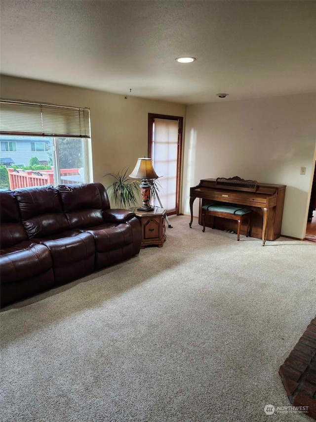 living room with carpet flooring, a textured ceiling, and a healthy amount of sunlight