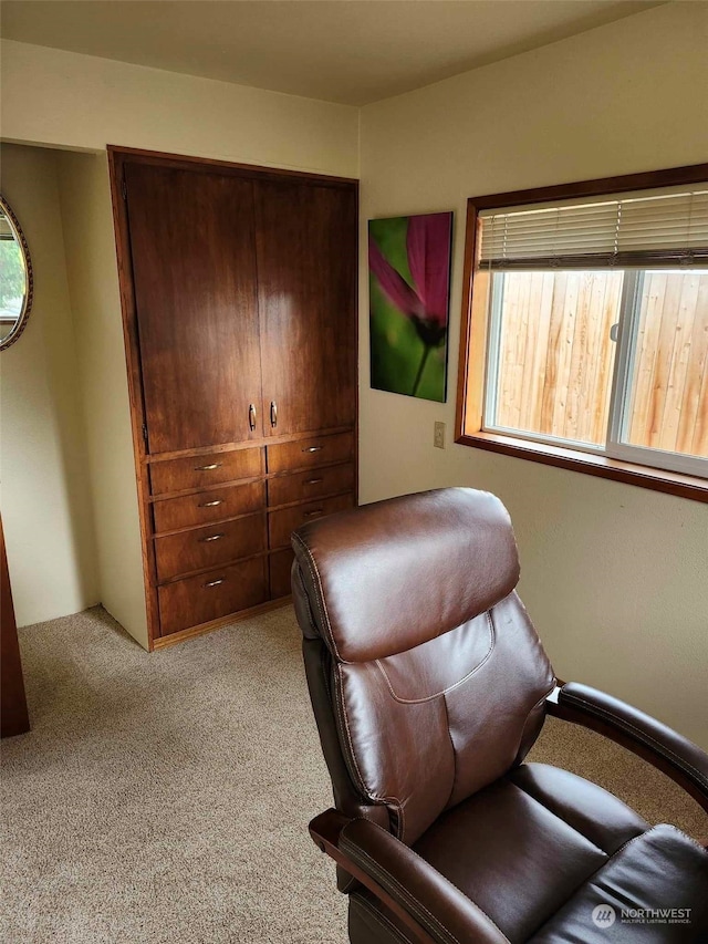 sitting room featuring light colored carpet and a healthy amount of sunlight