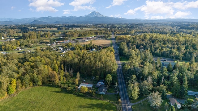 aerial view featuring a mountain view