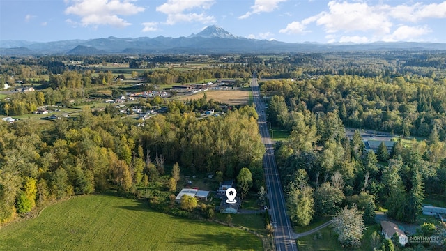 bird's eye view featuring a mountain view