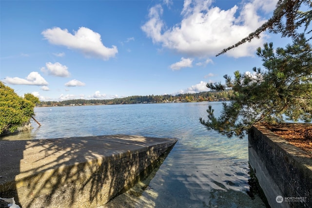 dock area with a water view