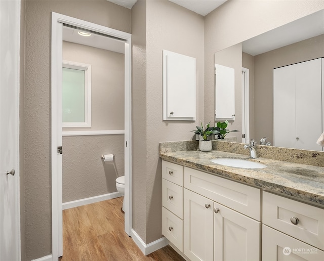 bathroom featuring vanity, toilet, and hardwood / wood-style floors