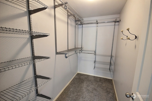 spacious closet with dark carpet