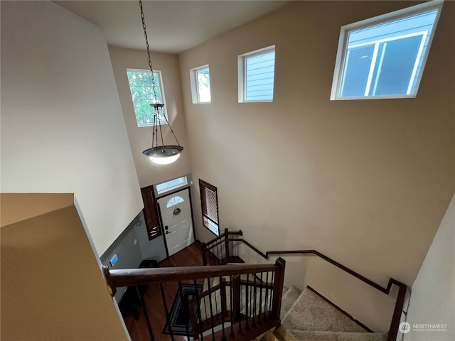 staircase featuring hardwood / wood-style flooring