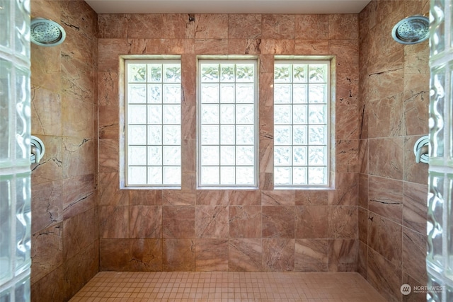 bathroom featuring a healthy amount of sunlight and tiled shower