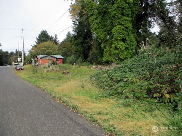 699 Copalis Beach Rd, Copalis Beach, WA 98535 - view of asphalt road