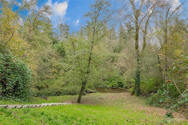 view of nature featuring a view of trees