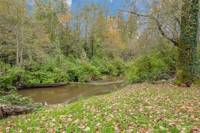 view of landscape with a wooded view