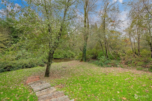 view of yard featuring a forest view