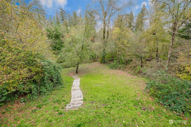 view of yard featuring a view of trees