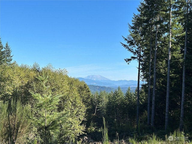 0 Casey Rd, Castle Rock, WA 98611 - photo 2