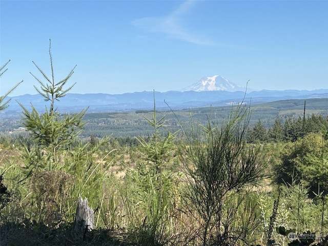 0 Casey Rd, Castle Rock WA, 98611 land for sale