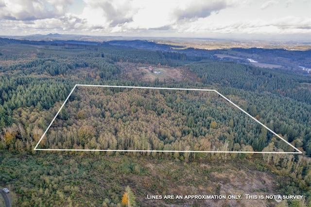 0 Casey Rd, Castle Rock, WA 98611 - photo 10