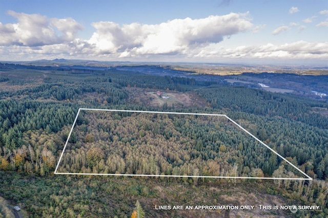 0 Casey Rd, Castle Rock, WA 98611 - photo 11