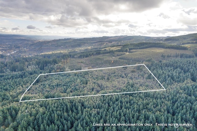0 Casey Rd, Castle Rock, WA 98611 - photo 14