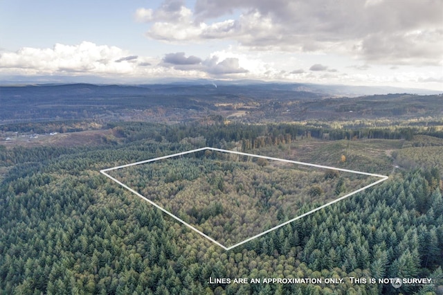 0 Casey Rd, Castle Rock, WA 98611 - photo 15